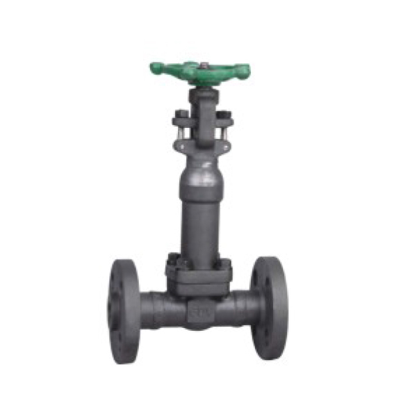 鍛鋼德標/國標法蘭、承插/螺紋波紋管閘閥